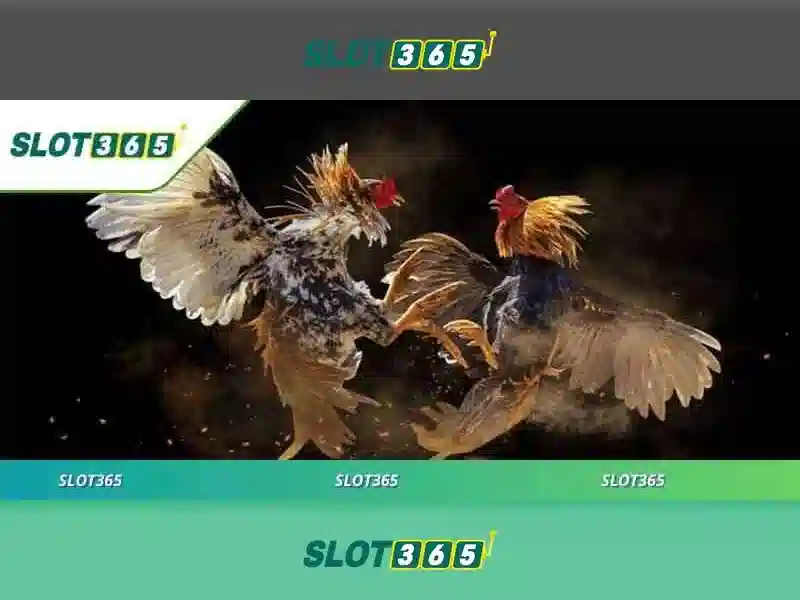 Trải nghiệm Slot365 hợp pháp