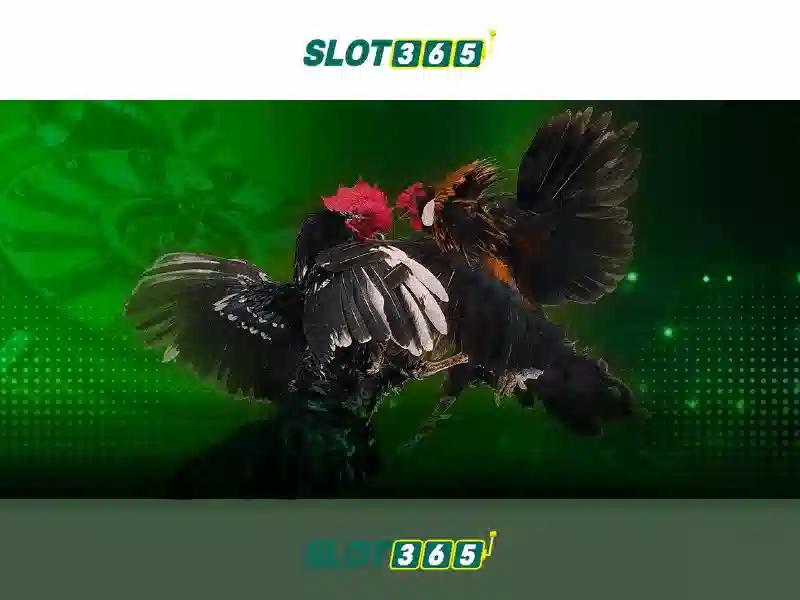 Ưu Đãi Đăng Nhập Slot365