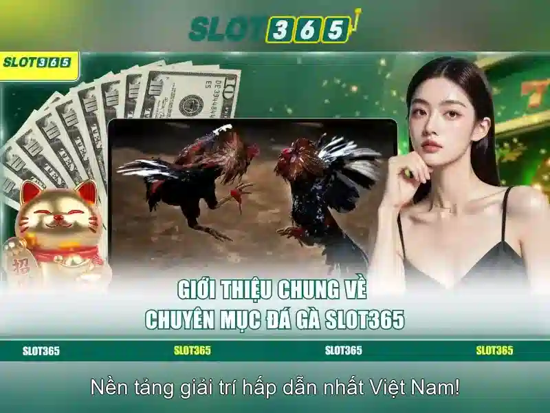 Đăng Nhập Slot365